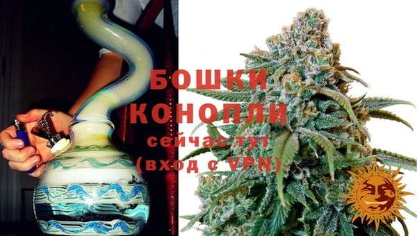 ГАЛЛЮЦИНОГЕННЫЕ ГРИБЫ Кинешма