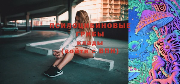 ГАЛЛЮЦИНОГЕННЫЕ ГРИБЫ Кинешма